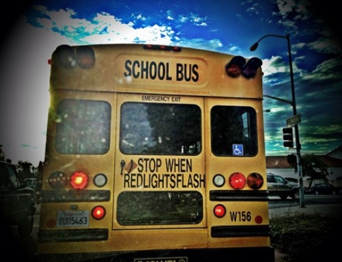 Back to School Survival Guide