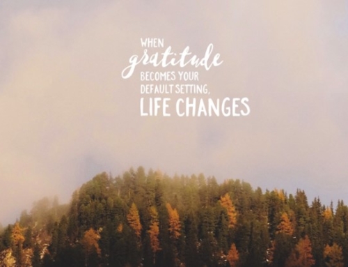 Help grow gratitude in your children